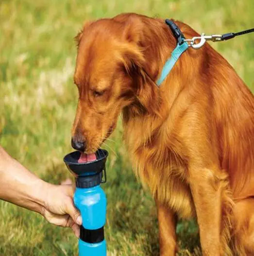Portable Water Bottle Drinker