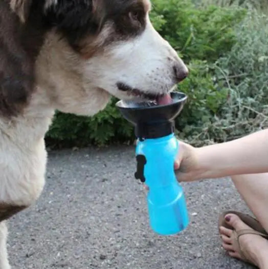 Portable Water Bottle Drinker