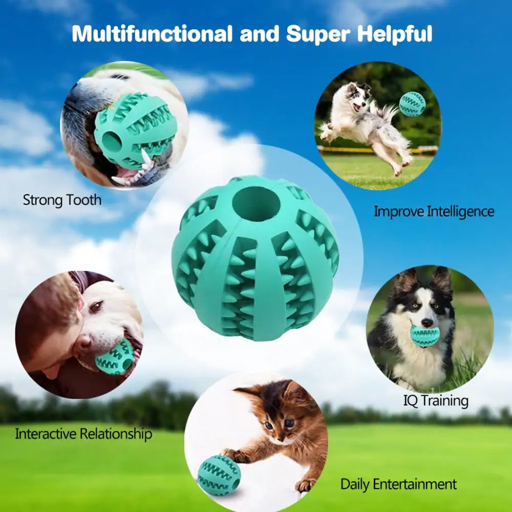 Treat Ball