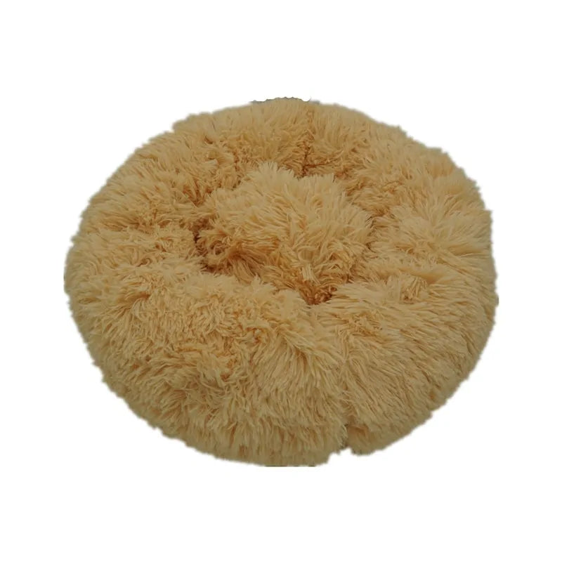 Soft Bed