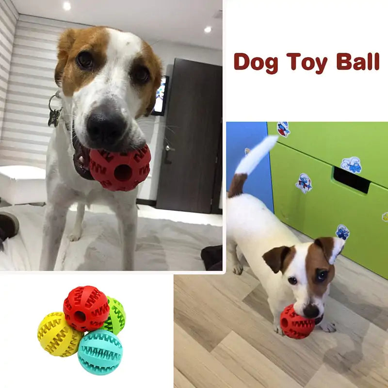 Treat Ball