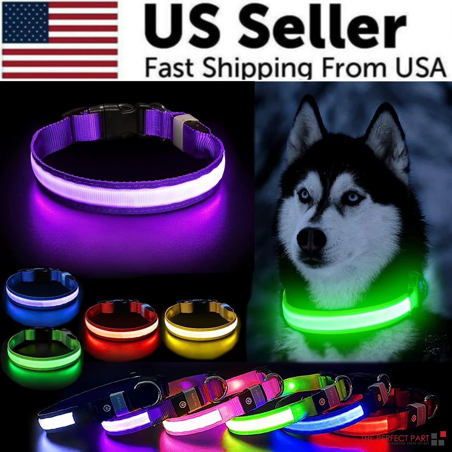 Dog collar blinking lights fashion