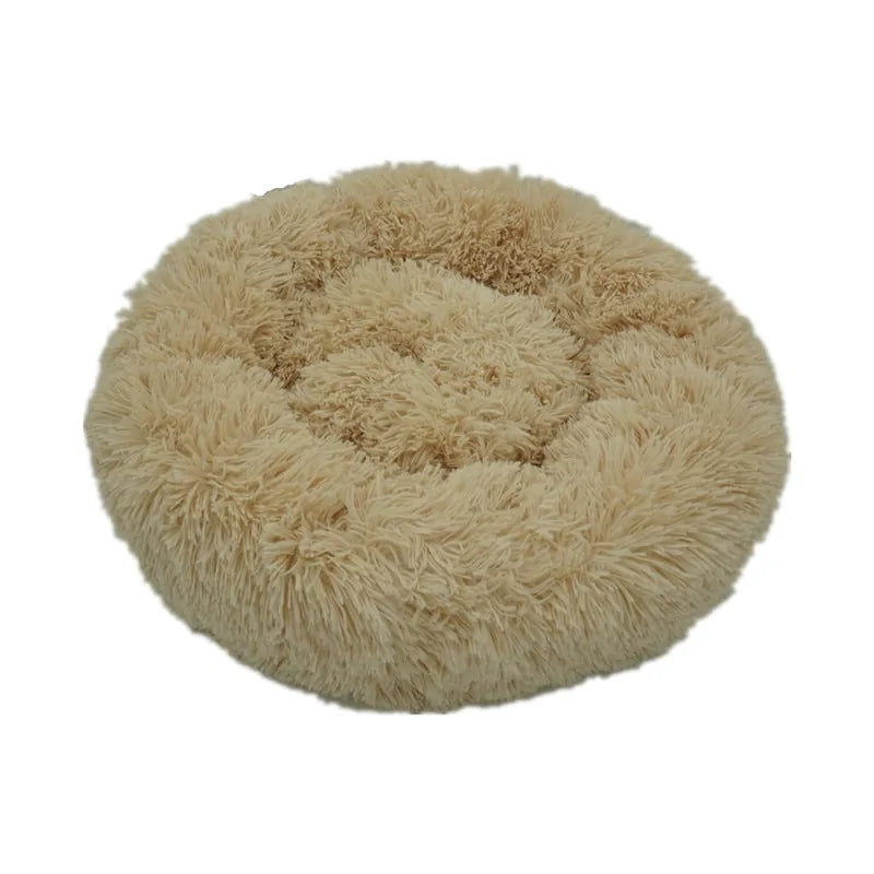 Soft Bed