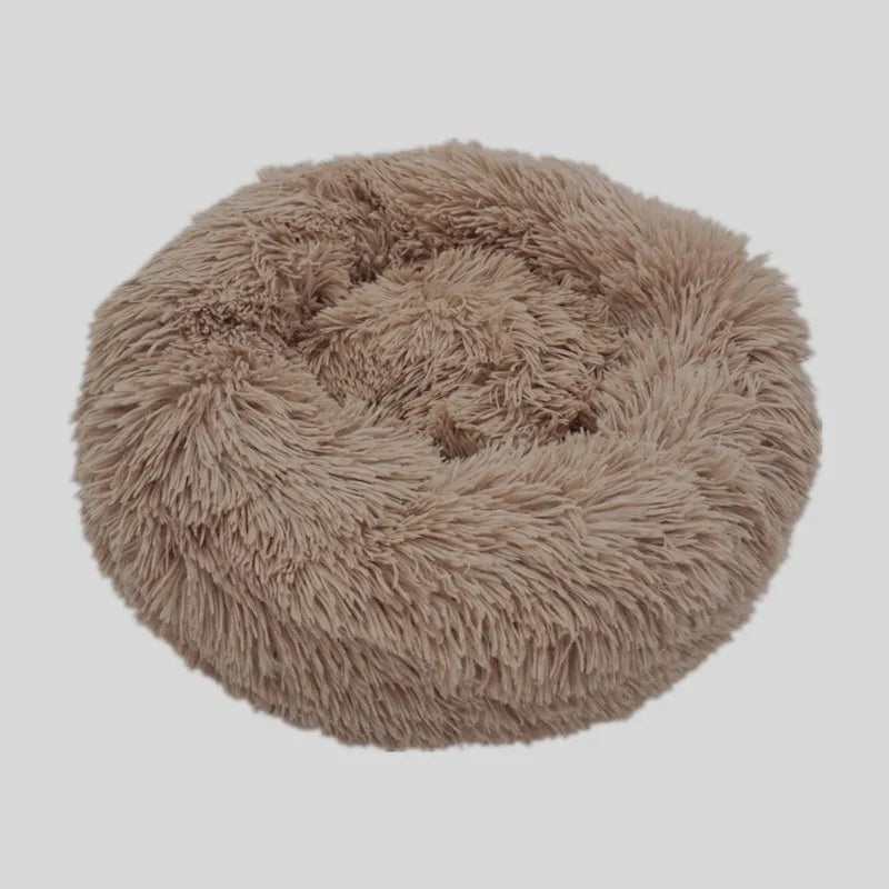 Soft Bed