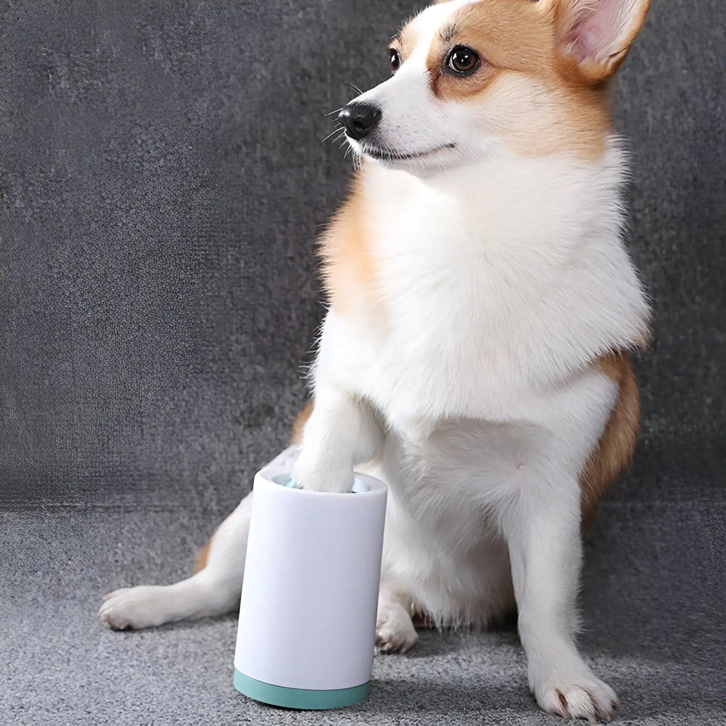 Petful Portable Paw Cleaner