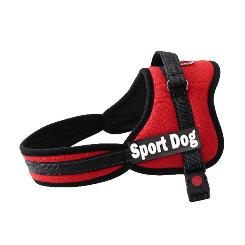 Harness For Dogs