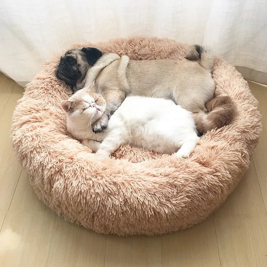 Soft Bed